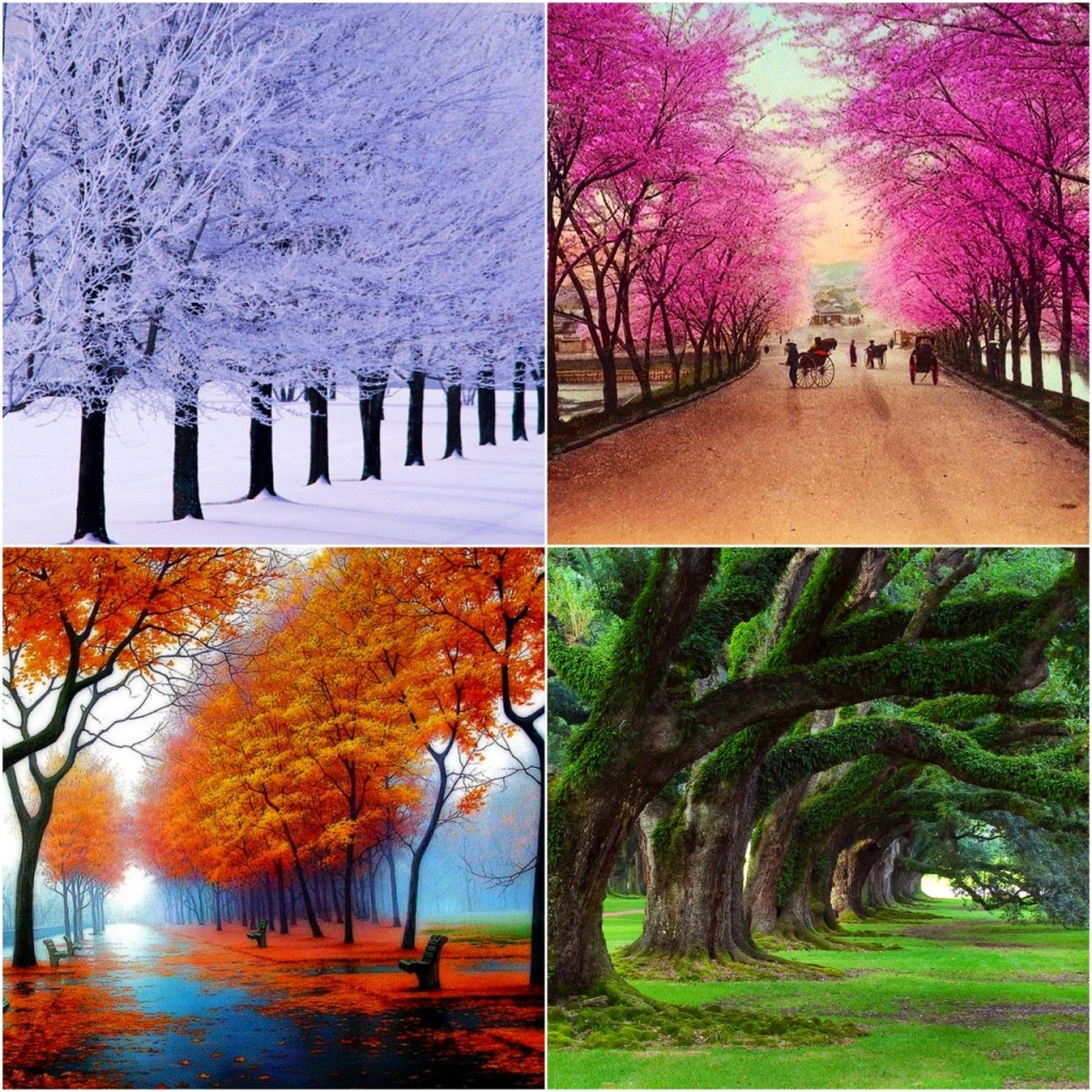 spring-summer-autumn-hd-wallpaper-9